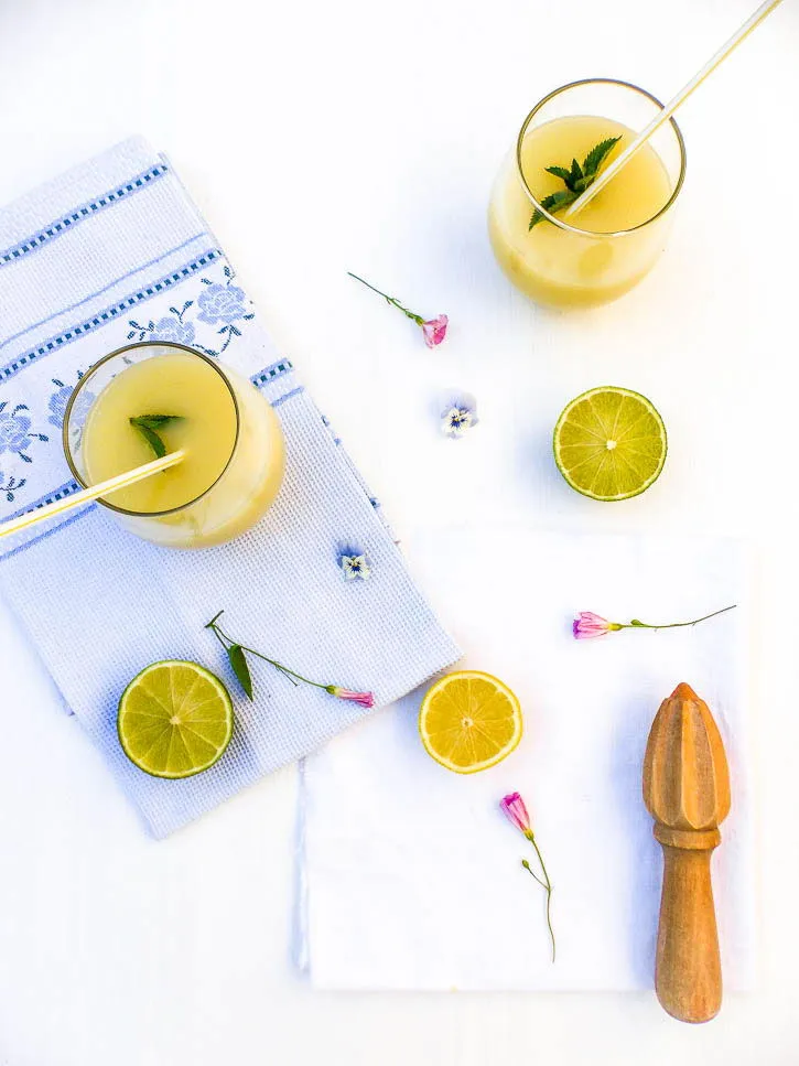 Citronnade menthe mélisse