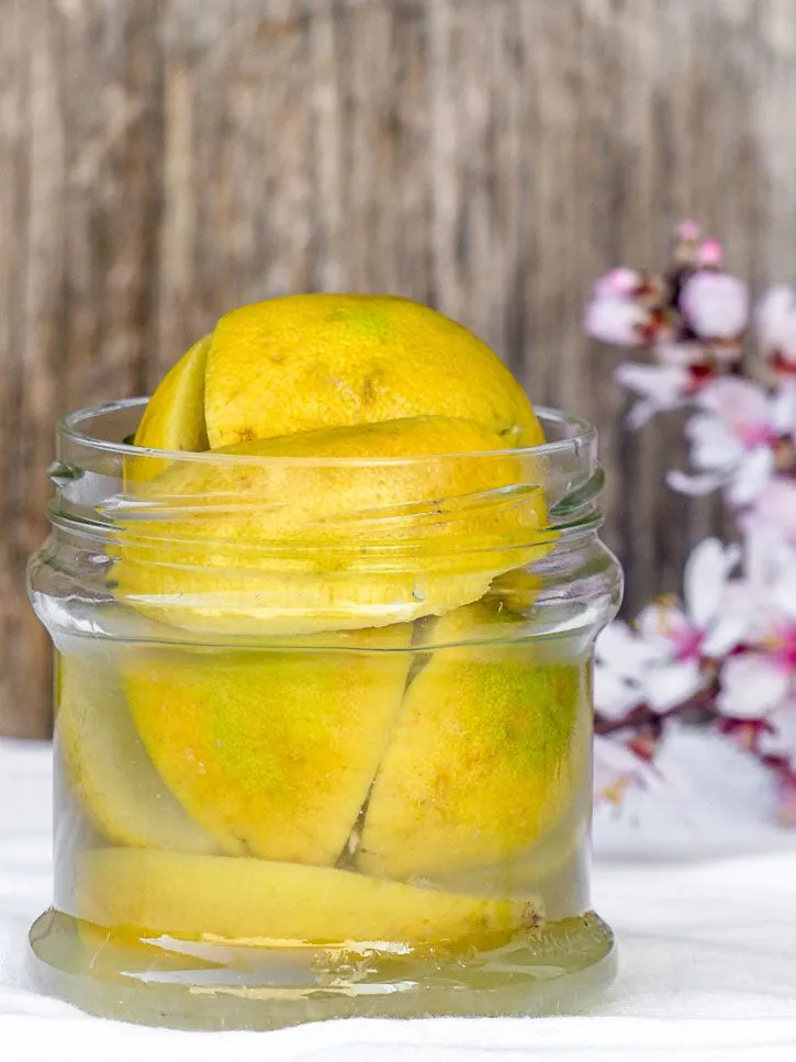 Lacto-fermentation de bergamote et orange douce