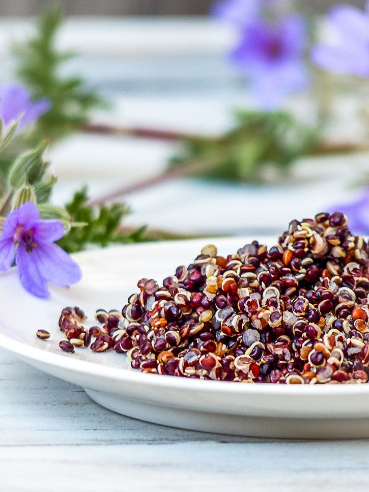 Buddha bowl au quinoa noir