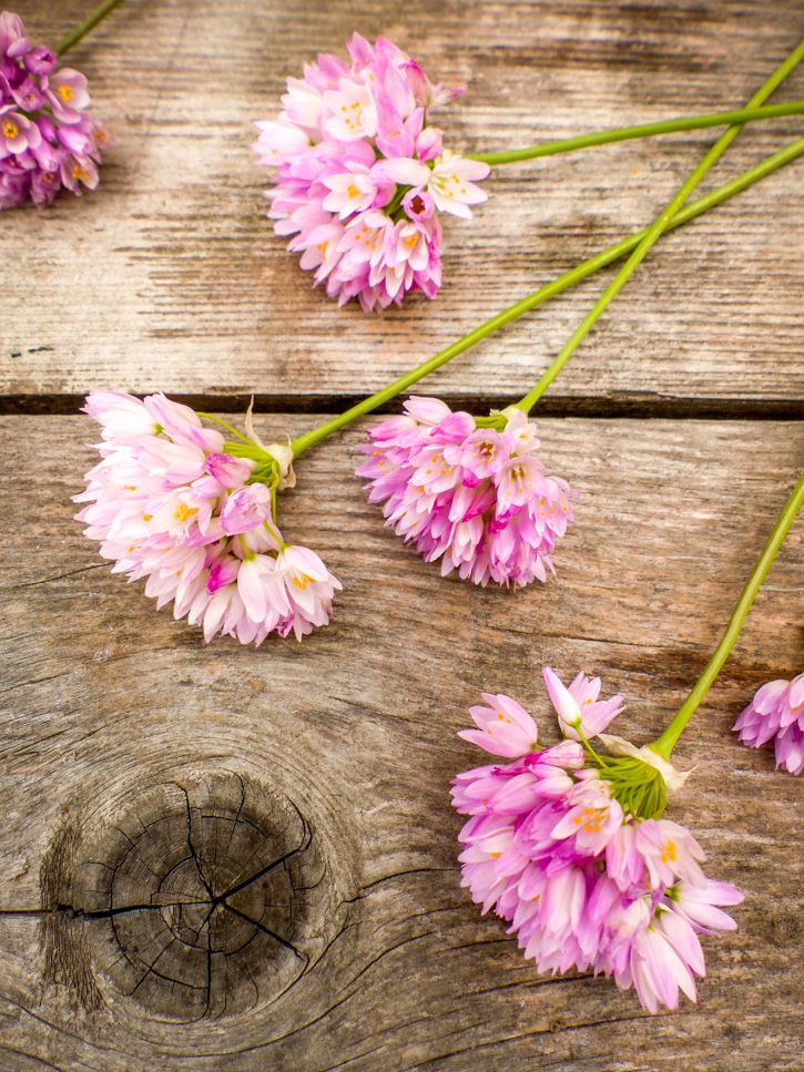 Salade Sauvage Aux Fleurs Comestibles