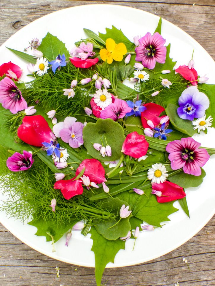 Salade sauvage composée aux feuilles et fleurs comestibles