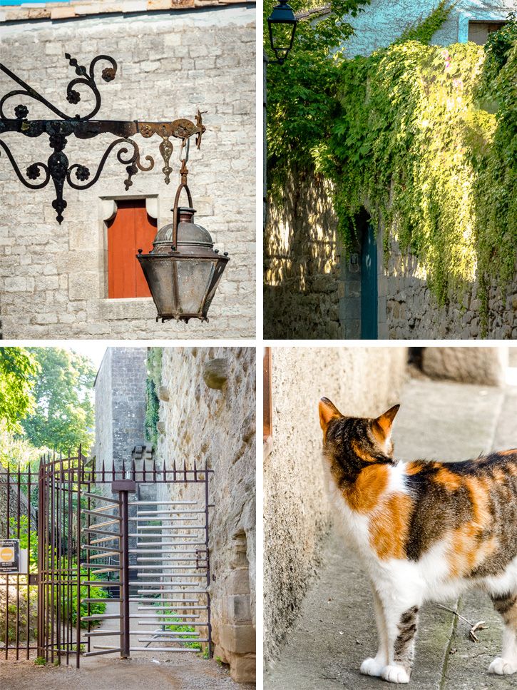 chat carcassonne